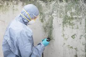 Professional Mold Removal in Tolar, TX